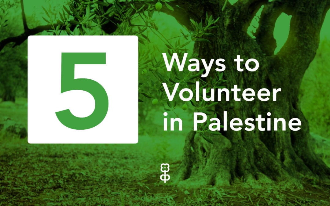5 ways to volunteer in Palestine in the summer