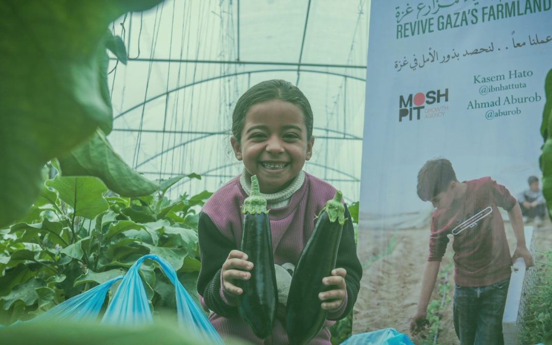 11 Powerful Stories of Palestinian Social Enterprises Defending Their Land
