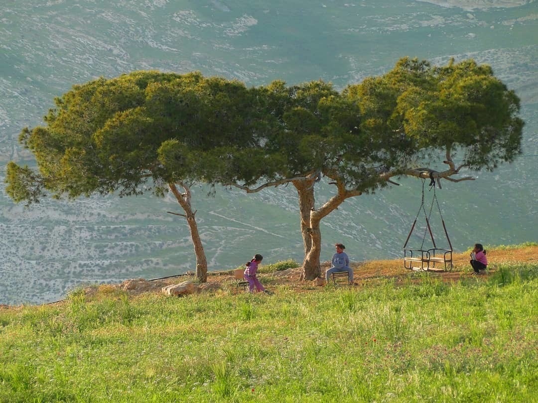 The Ultimate Tourism Guide to See the Real Israel and Palestine
